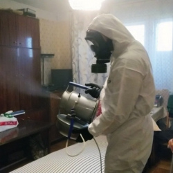 Дезинфекция от клопов в Яровом
