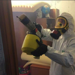 Уничтожение клопов в квартире. Яровое